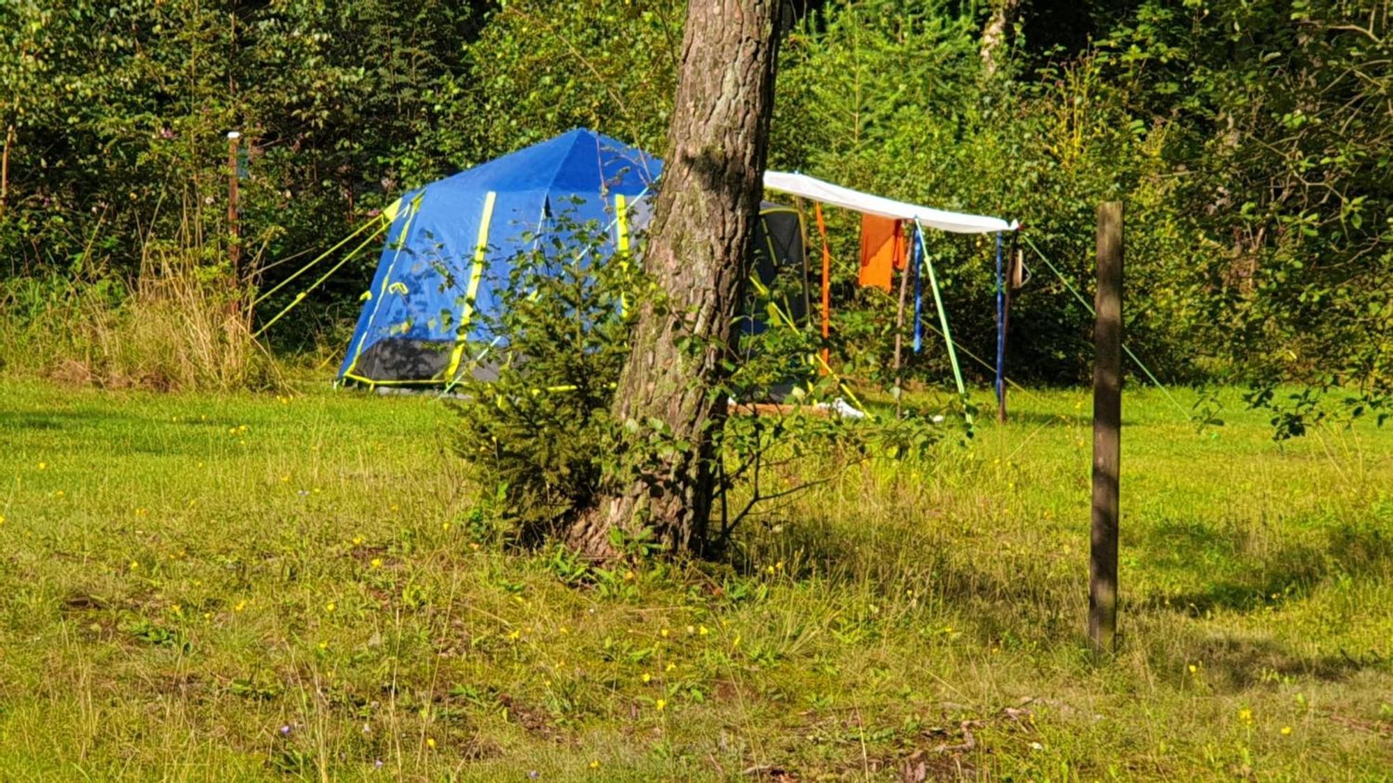 Harzklub Wanderheim Διαμέρισμα Wildemann Εξωτερικό φωτογραφία